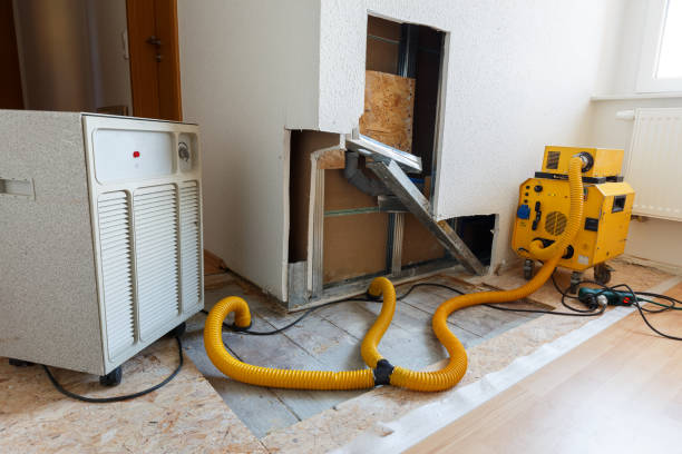 Professional Mold Inspection, Removal & Remediation in Slippery Rock, PA